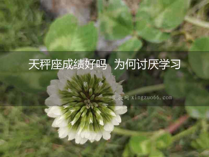 天秤座成績好嗎  為何討厭學(xué)習(xí)