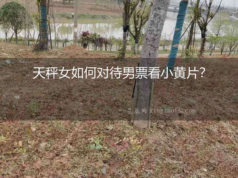 天秤女如何對(duì)待男票看小黃片？