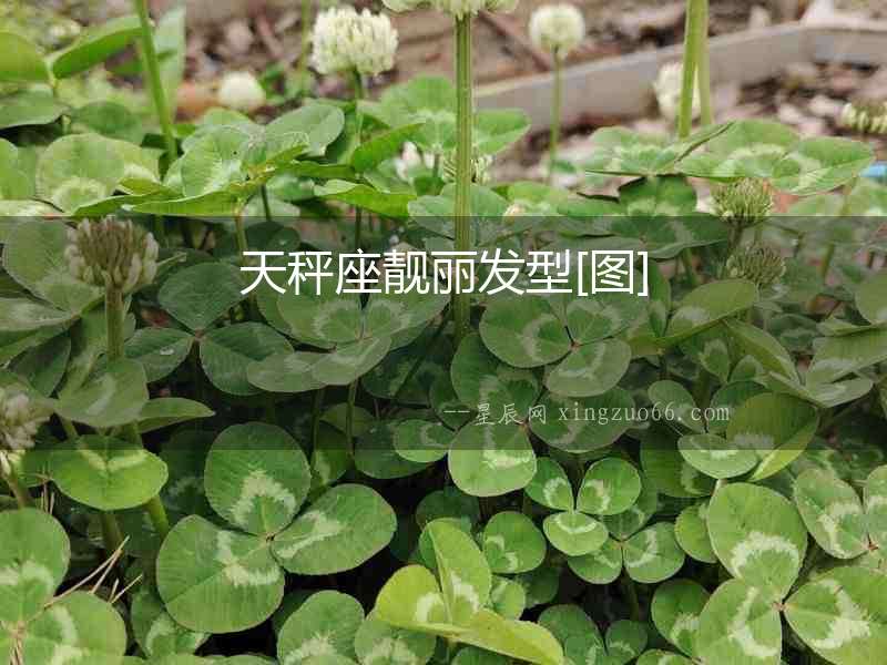 天秤座靚麗發(fā)型[圖]