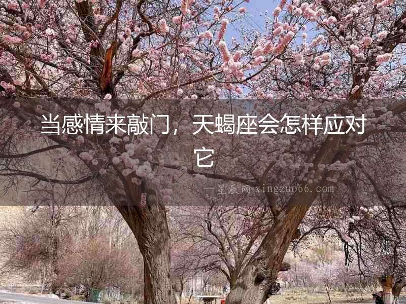 當感情來敲門，天蝎座會怎樣應對它
