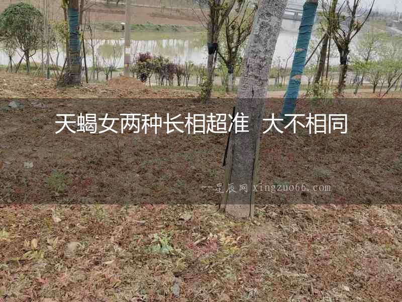 天蝎女兩種長相超準  大不相同