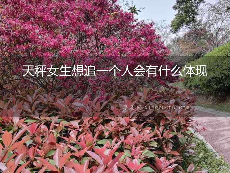 天秤女生想追一個人會有什么體現