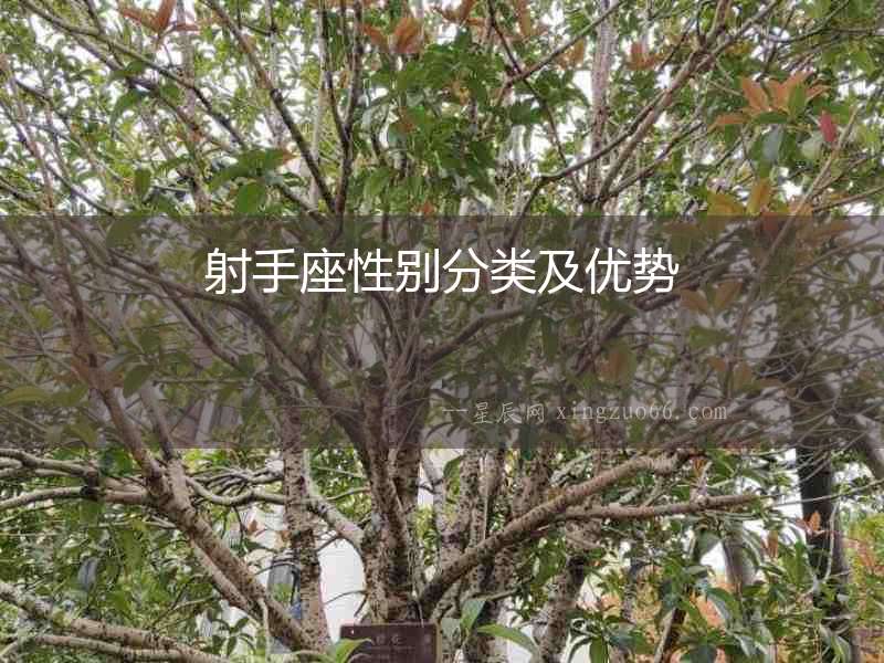 射手座性別分類及優勢