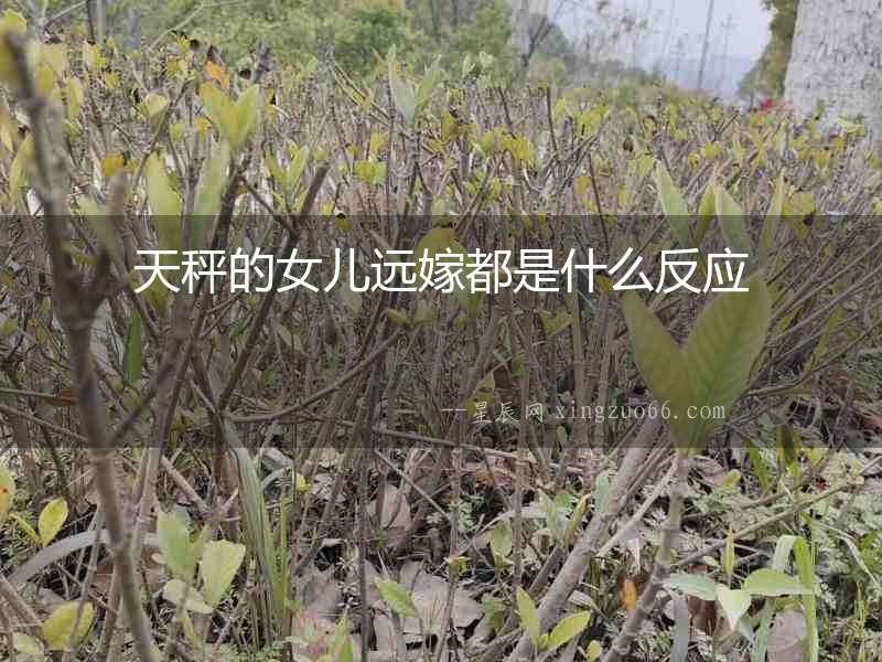 天秤的女兒遠(yuǎn)嫁都是什么反應(yīng)