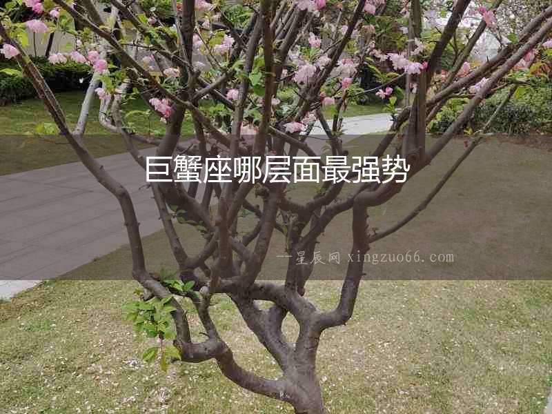 巨蟹座哪層面最強(qiáng)勢
