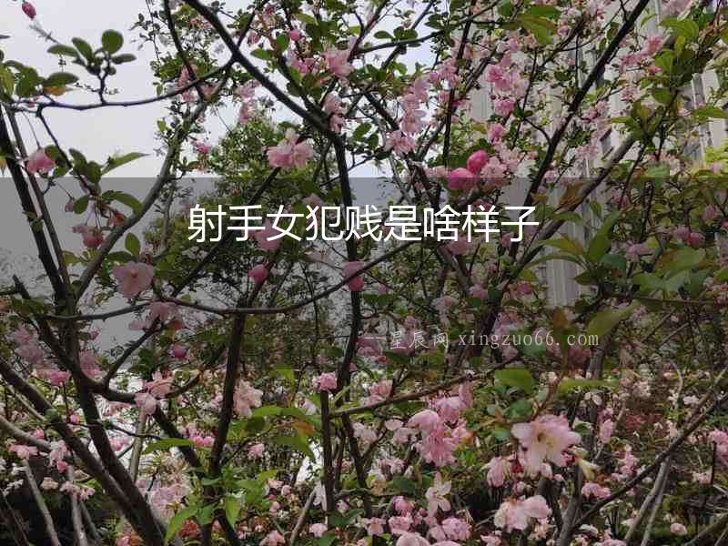 射手女犯賤是啥樣子