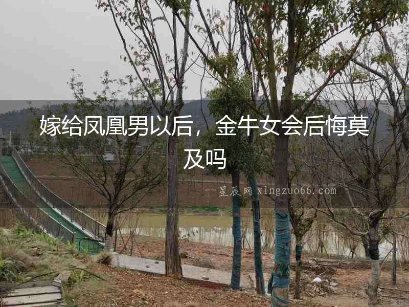嫁給鳳凰男以后，金牛女會后悔莫及嗎
