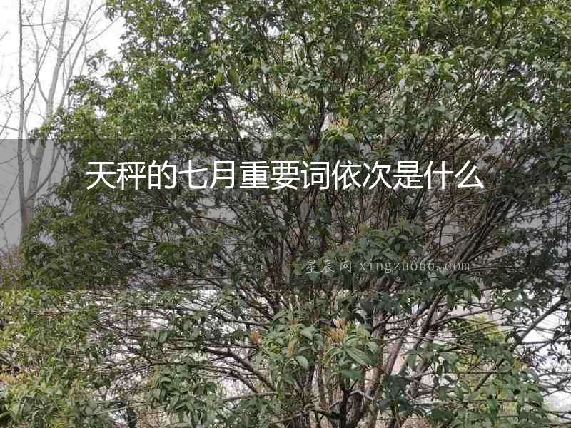 天秤的七月重要詞依次是什么