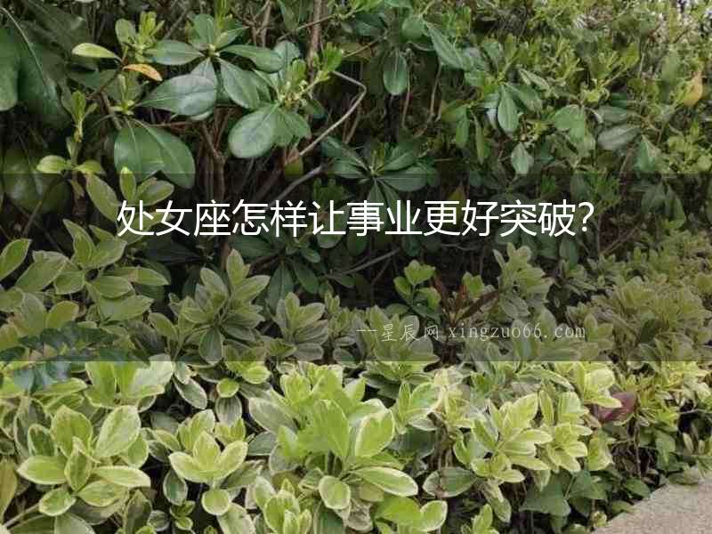 處女座怎樣讓事業(yè)更好突破？