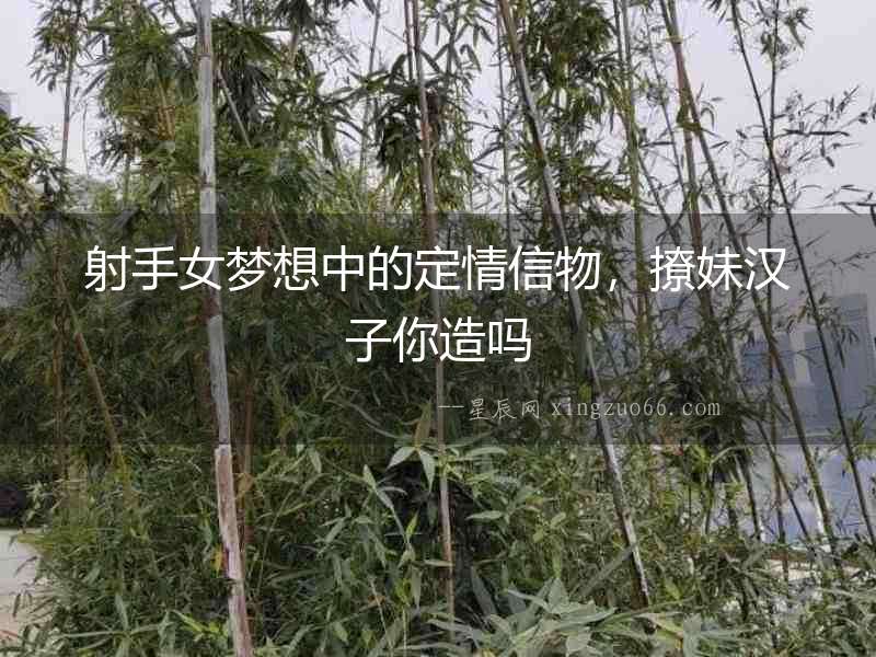 射手女夢想中的定情信物，撩妹漢子你造嗎