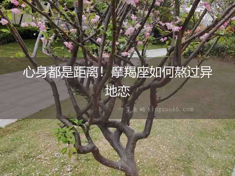 心身都是距離！摩羯座如何熬過(guò)異地戀