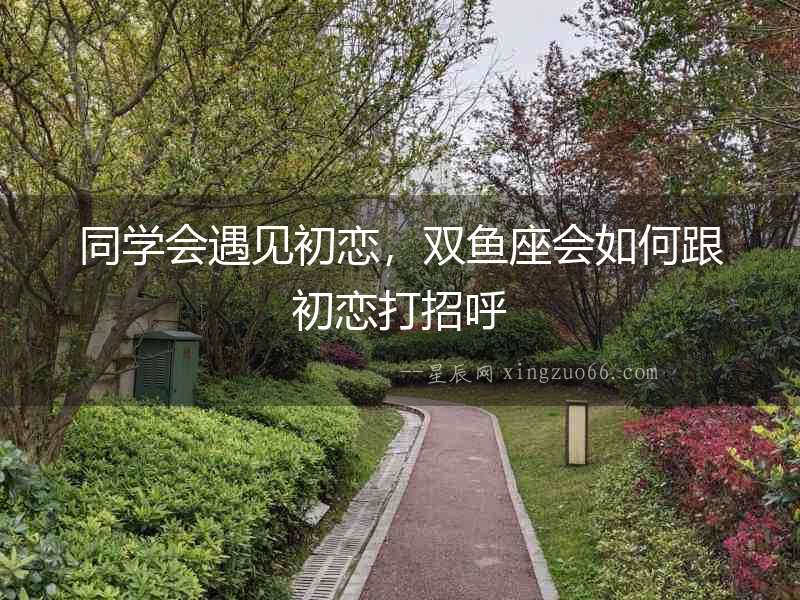 同學會遇見初戀，雙魚座會如何跟初戀打招呼