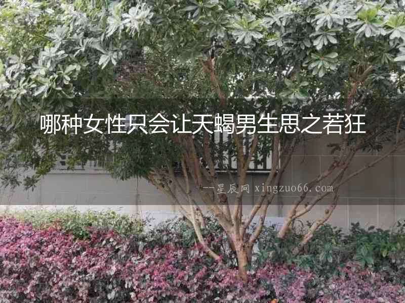 哪種女性只會(huì)讓天蝎男生思之若狂