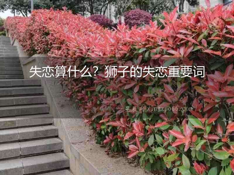 失戀算什么？獅子的失戀重要詞