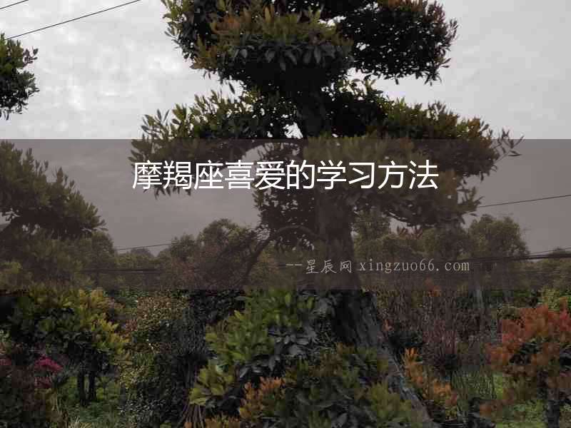 摩羯座喜愛的學習方法