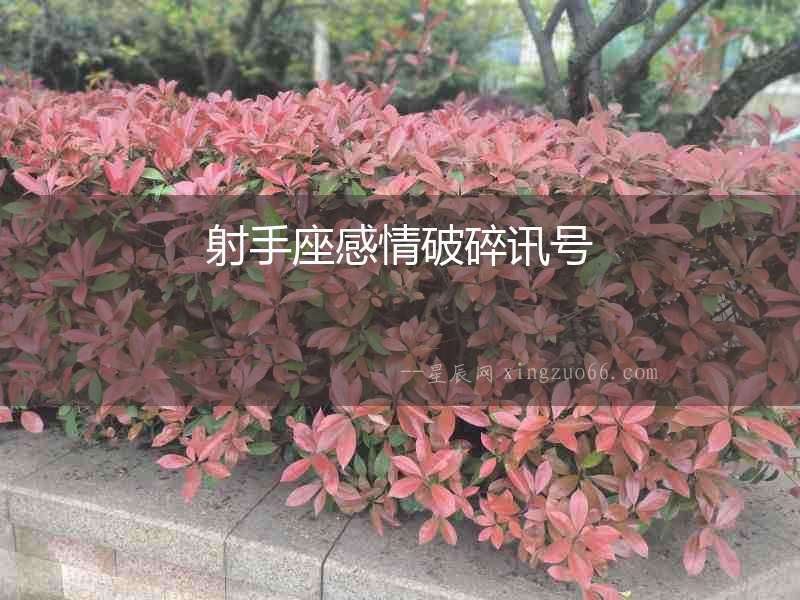 射手座感情破碎訊號(hào)