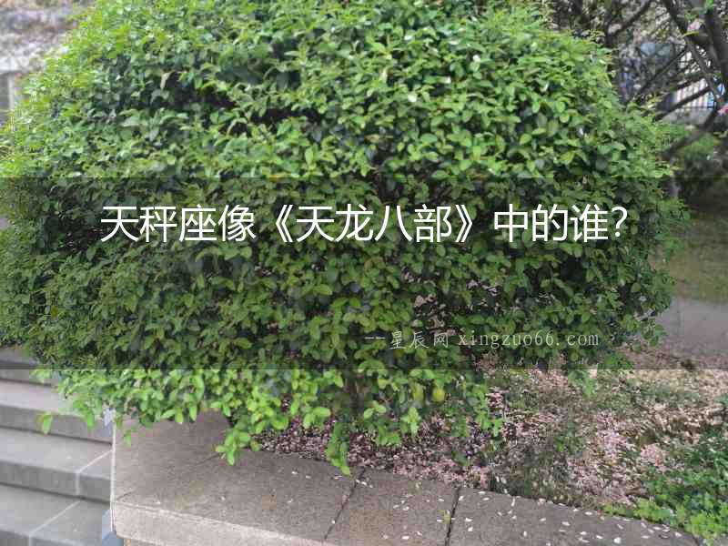天秤座像《天龍八部》中的誰？