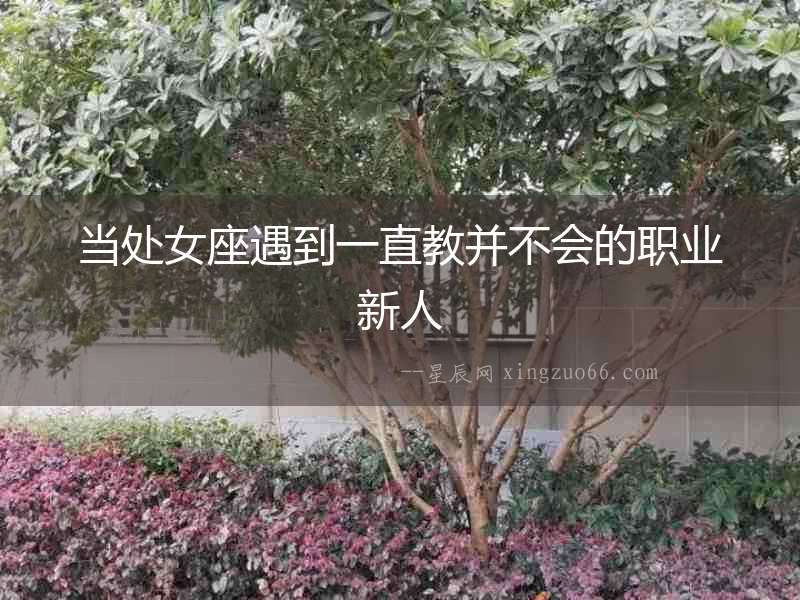 當處女座遇到一直教并不會的職業(yè)新人