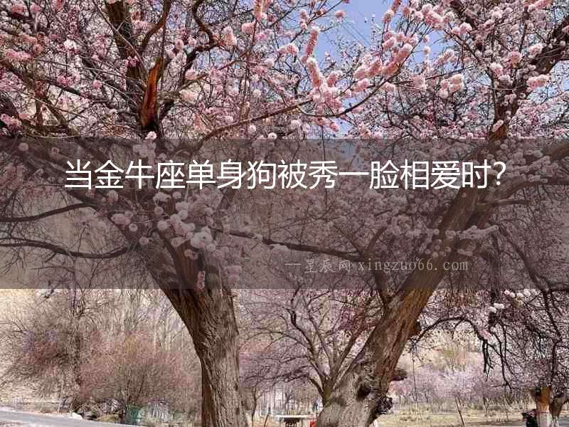 當金牛座單身狗被秀一臉相愛時？