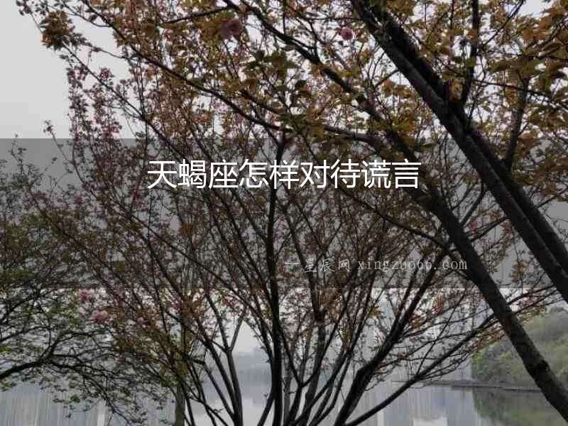 天蝎座怎樣對(duì)待謊言