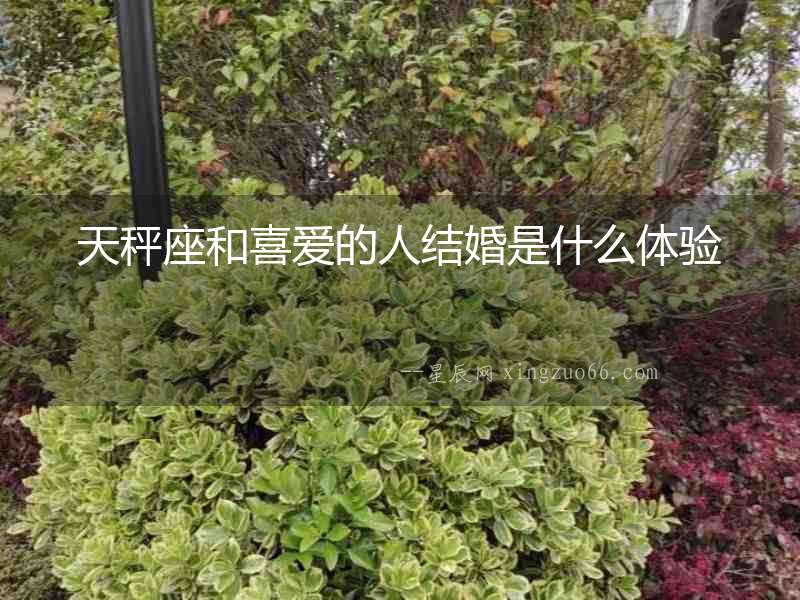天秤座和喜愛的人結(jié)婚是什么體驗(yàn)