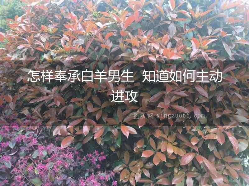 怎樣奉承白羊男生  知道如何主動進(jìn)攻
