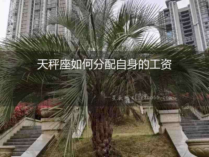 天秤座如何分配自身的工資