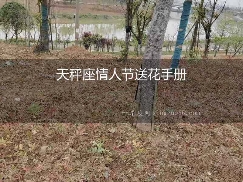 天秤座情人節送花手冊