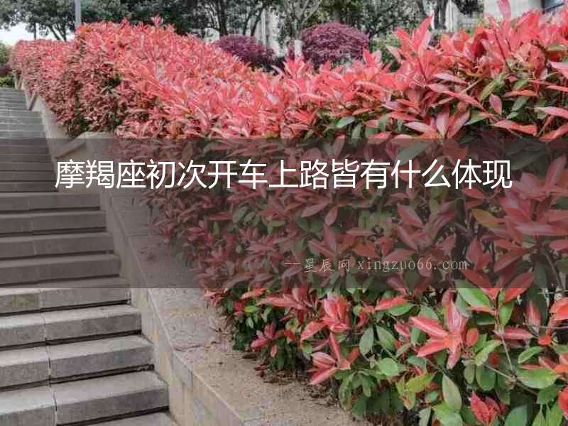 摩羯座初次開(kāi)車(chē)上路皆有什么體現(xiàn)