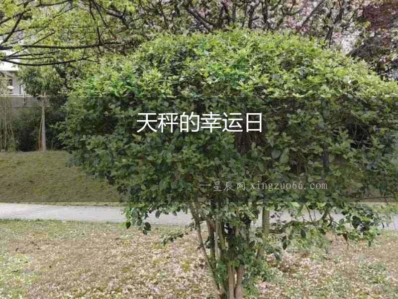天秤的幸運(yùn)日