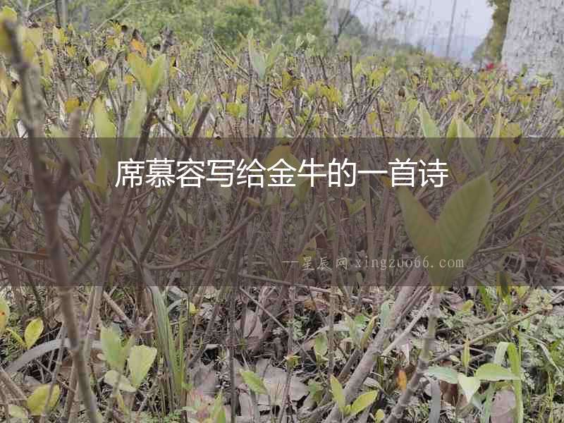 席慕容寫給金牛的一首詩(shī)