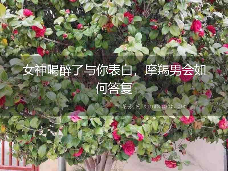 女神喝醉了與你表白，摩羯男會如何答復