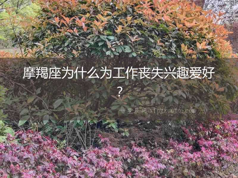 摩羯座為什么為工作喪失興趣愛好？