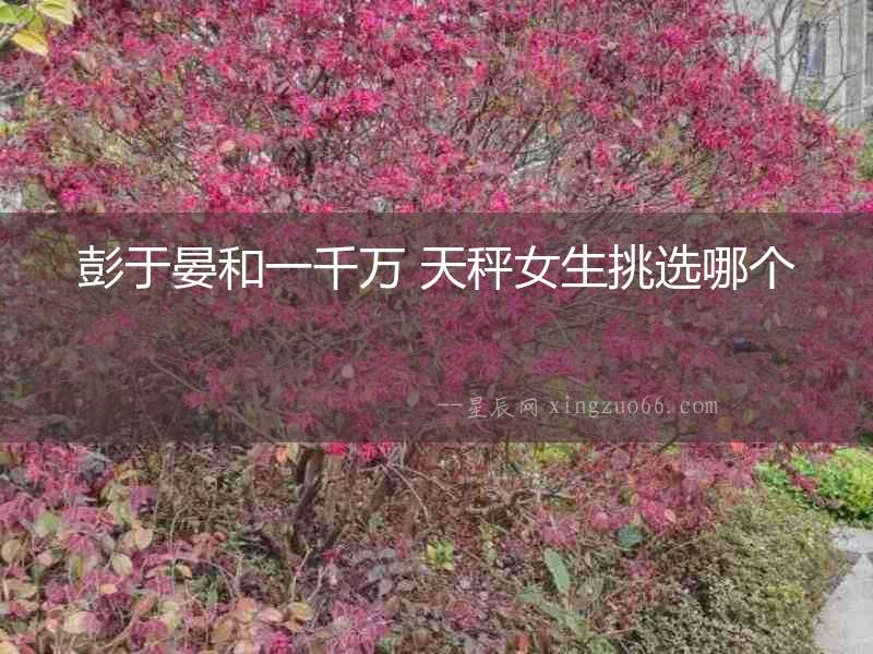 彭于晏和一千萬 天秤女生挑選哪個