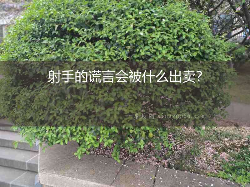 射手的謊言會被什么出賣？
