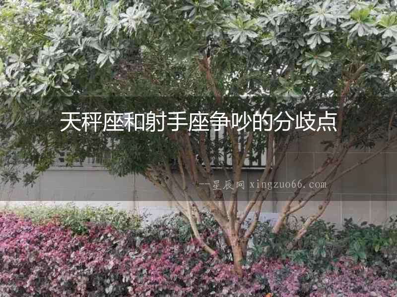 天秤座和射手座爭吵的分歧點