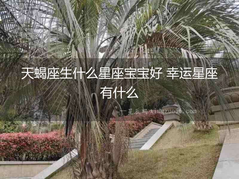天蝎座生什么星座寶寶好 幸運星座有什么