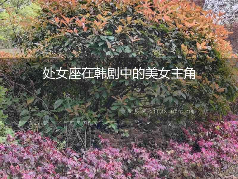 處女座在韓劇中的美女主角