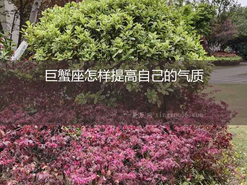 巨蟹座怎樣提高自己的氣質