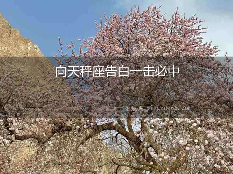 向天秤座告白一擊必中