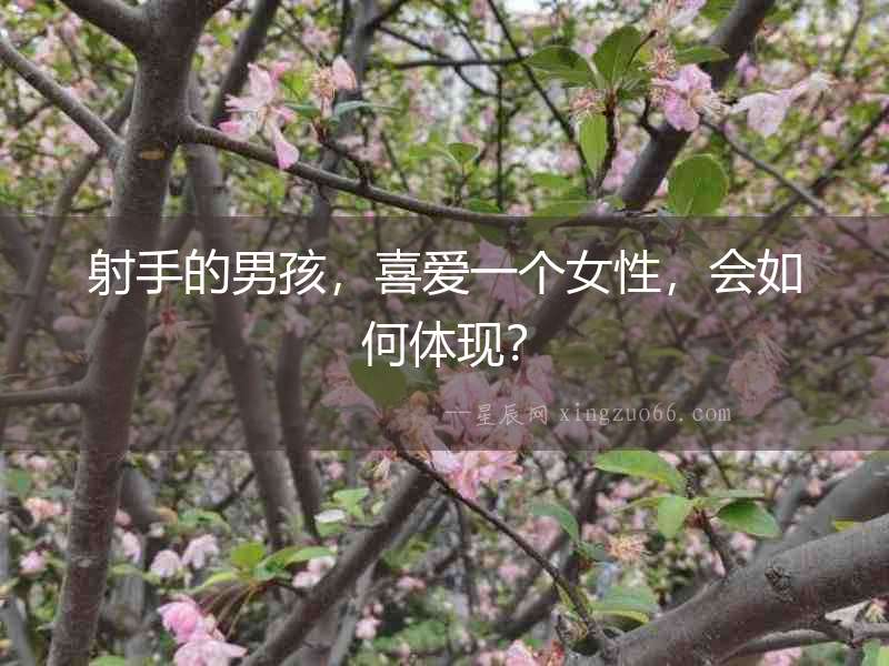 射手的男孩，喜愛一個女性，會如何體現？