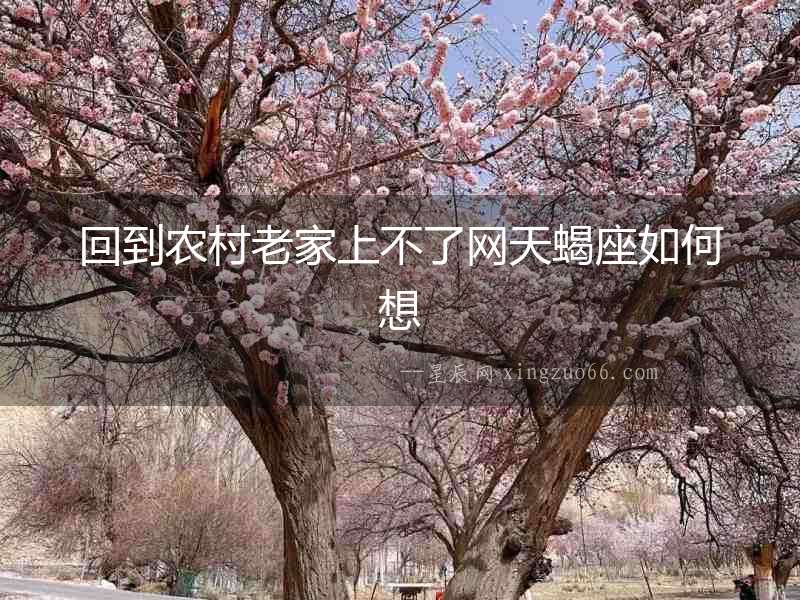 回到農(nóng)村老家上不了網(wǎng)天蝎座如何想