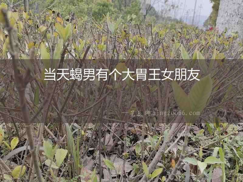 當(dāng)天蝎男有個(gè)大胃王女朋友