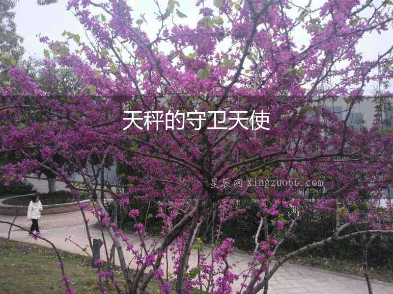 天秤的守衛(wèi)天使