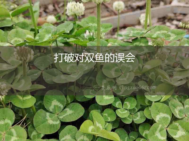 打破對雙魚的誤會
