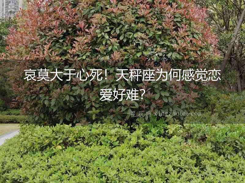 哀莫大于心死！天秤座為何感覺戀愛好難？