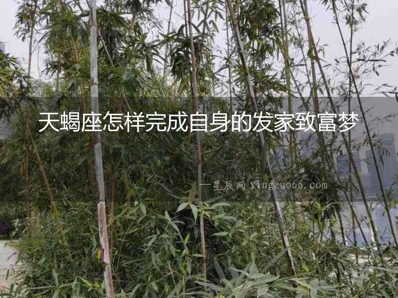 天蝎座怎樣完成自身的發家致富夢