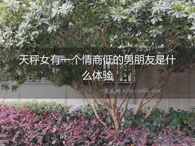 天秤女有一個情商低的男朋友是什么體驗