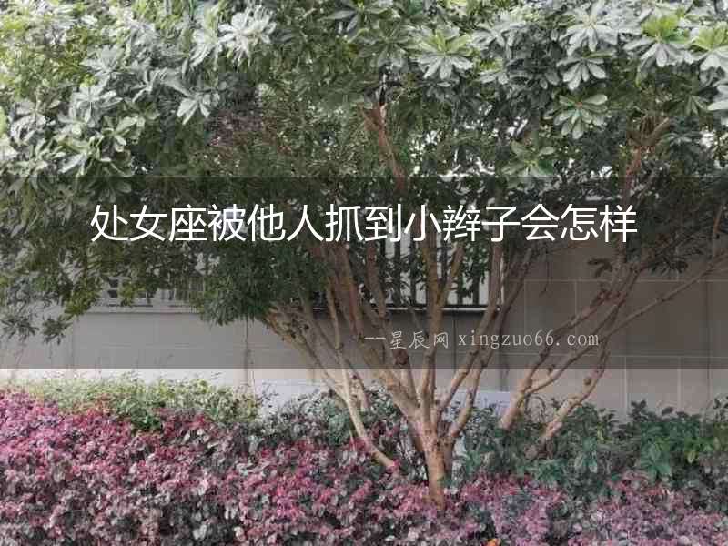 處女座被他人抓到小辮子會怎樣
