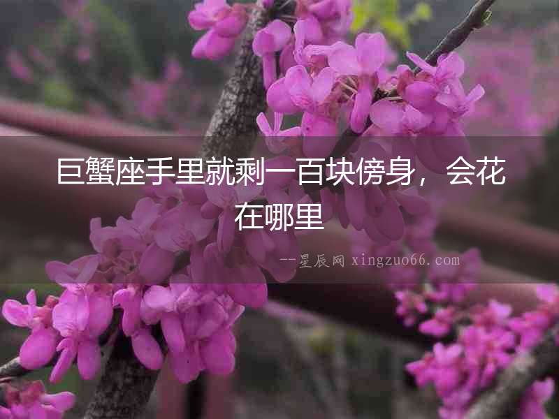 巨蟹座手里就剩一百塊傍身，會花在哪里